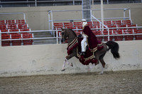 Class 94 HA/AA Native Costume Open