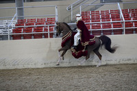 RCAHA19_FriPM_1690