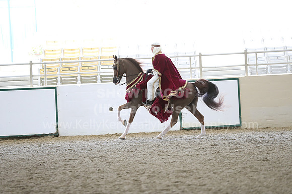 RCAHA19_FriPM_1691