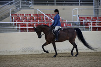 RCAHA19_FriPM_1561