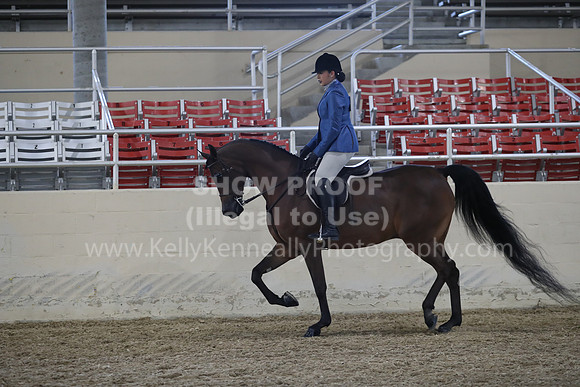 RCAHA19_FriPM_1562