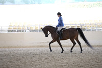 RCAHA19_FriPM_1567
