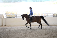 RCAHA19_FriPM_1568