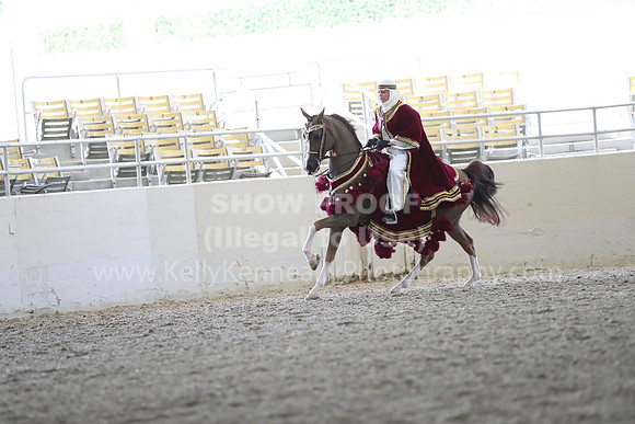 RCAHA19_FriPM_1701