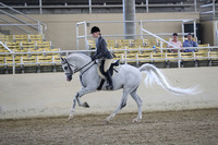 RCAHA19_FriPM_1569