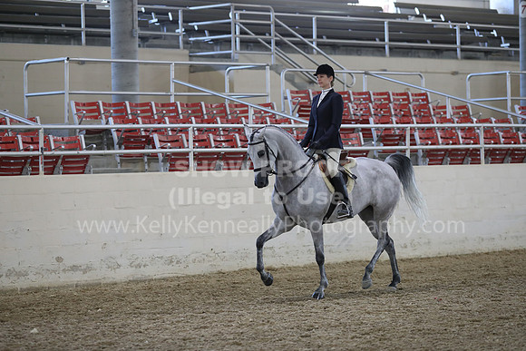 RCAHA19_FriPM_1595