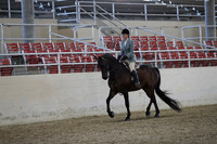 RCAHA19_FriPM_1599