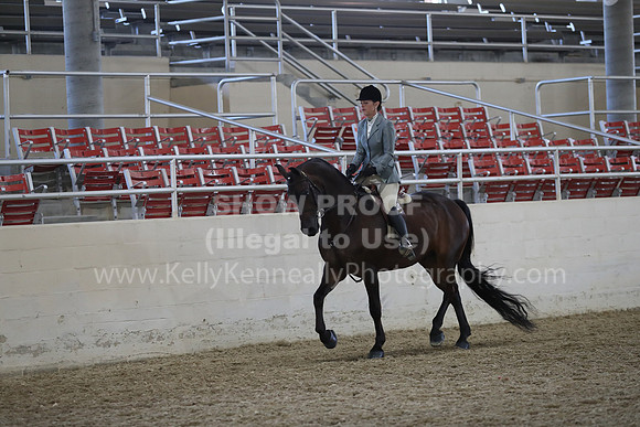 RCAHA19_FriPM_1599