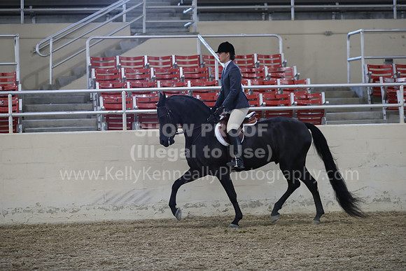 RCAHA19_FriPM_1611
