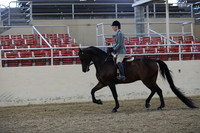 RCAHA19_FriPM_1627