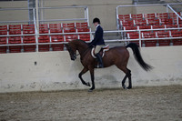 RCAHA19_FriPM_1743