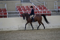 Class 95 Arabian Hunter Pleasure Choice/Elite Rider AATR