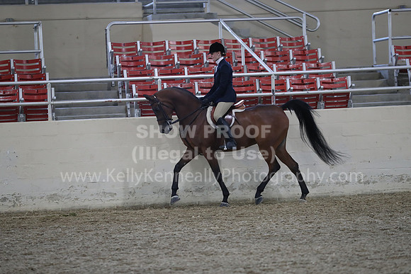 RCAHA19_FriPM_1741