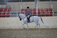 RCAHA19_FriPM_1744
