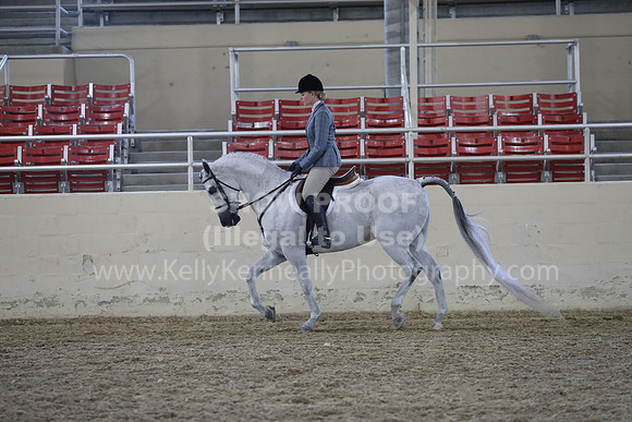 RCAHA19_FriPM_1744