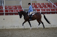 RCAHA19_FriPM_1747