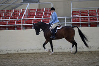 RCAHA19_FriPM_1749