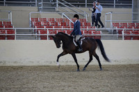 RCAHA19_FriPM_1753