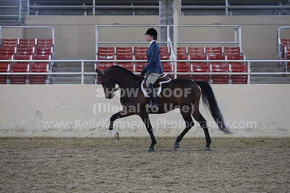 RCAHA19_FriPM_1754