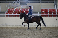 RCAHA19_FriPM_1755