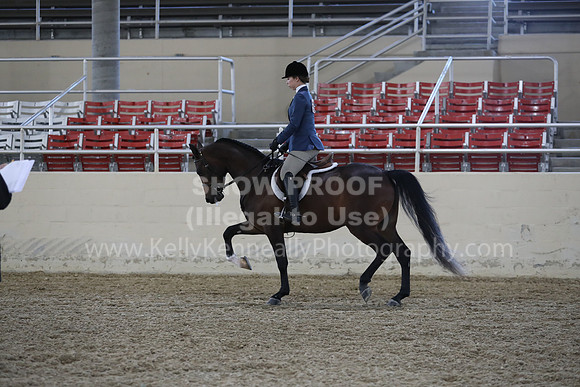 RCAHA19_FriPM_1756