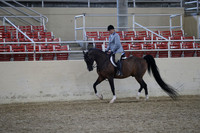 RCAHA19_FriPM_1757
