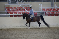RCAHA19_FriPM_1758