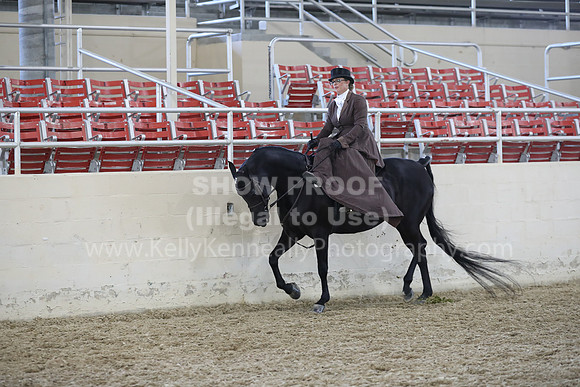 RCAHA19_FriPM_1834