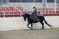 RCAHA19_FriPM_1835
