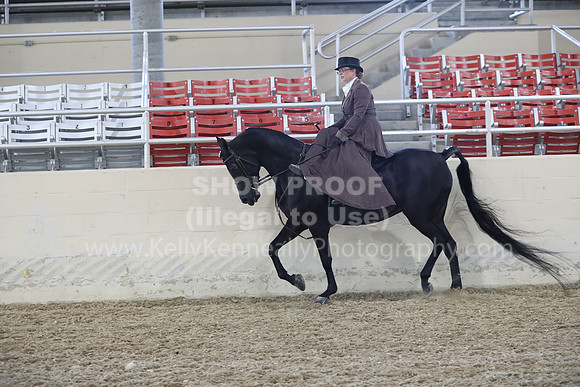RCAHA19_FriPM_1837