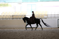 RCAHA19_FriPM_1838