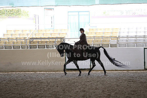 RCAHA19_FriPM_1838