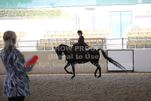 RCAHA19_FriPM_1839