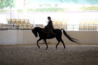 RCAHA19_FriPM_1841