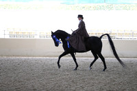 RCAHA19_FriPM_1843