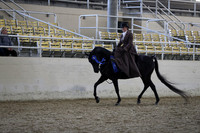 RCAHA19_FriPM_1844