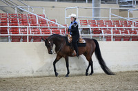 Class 97 HA/AA Western Pleasure Open
