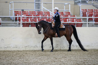 RCAHA19_FriPM_1853