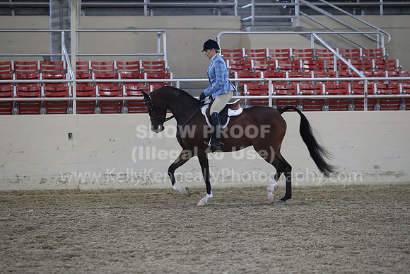 RCAHA19_FriPM_1767