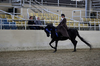 RCAHA19_FriPM_1845
