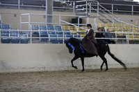 RCAHA19_FriPM_1846
