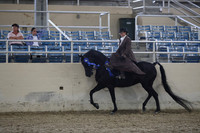 RCAHA19_FriPM_1847