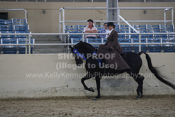RCAHA19_FriPM_1848