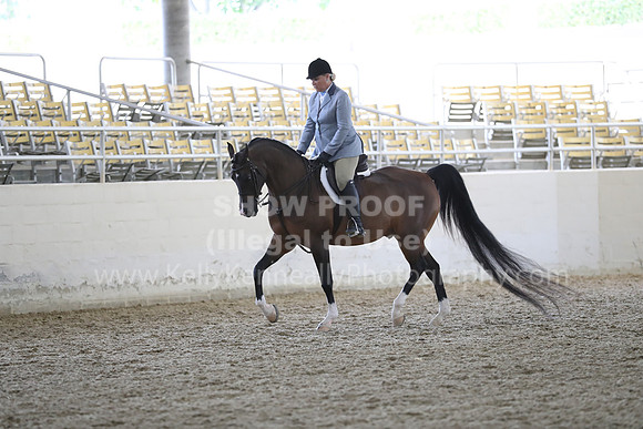 RCAHA19_FriPM_1772