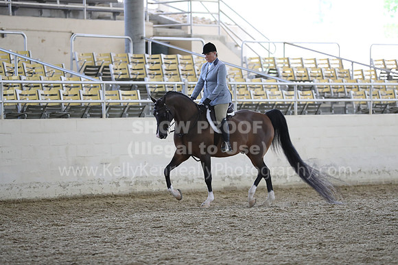 RCAHA19_FriPM_1773