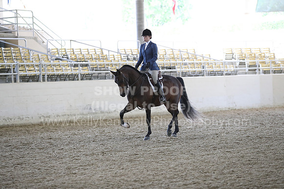 RCAHA19_FriPM_1780