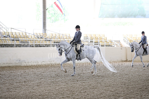 RCAHA19_FriPM_1783
