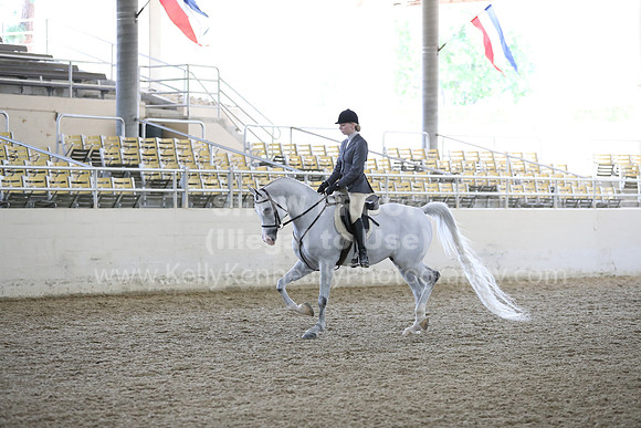 RCAHA19_FriPM_1784