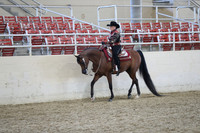 Class 99 Arabian Western Pleasure Primetime Rider AATR