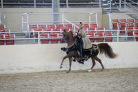 Class 100 HA/AA Mounted Native Costume ATR